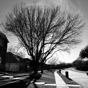 Meet your Posher, Iris